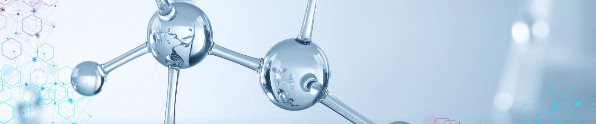 עמיתי הוראה